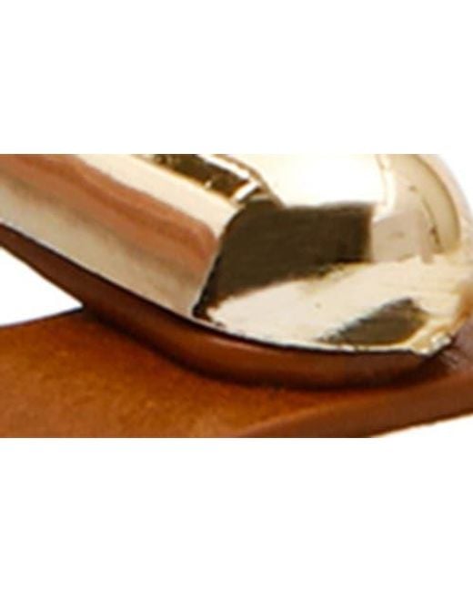 Steve Madden Brown Alma Gladiator Sandal