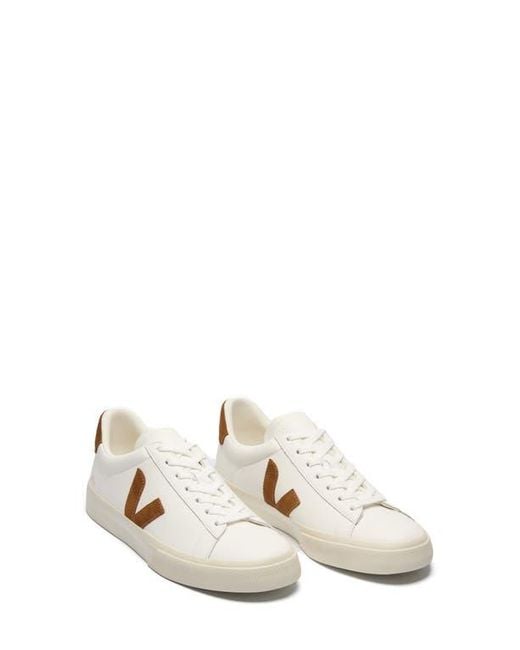 Veja White Campo Sneaker