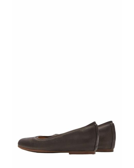 ABEO Brown Cadence Ballet Flat