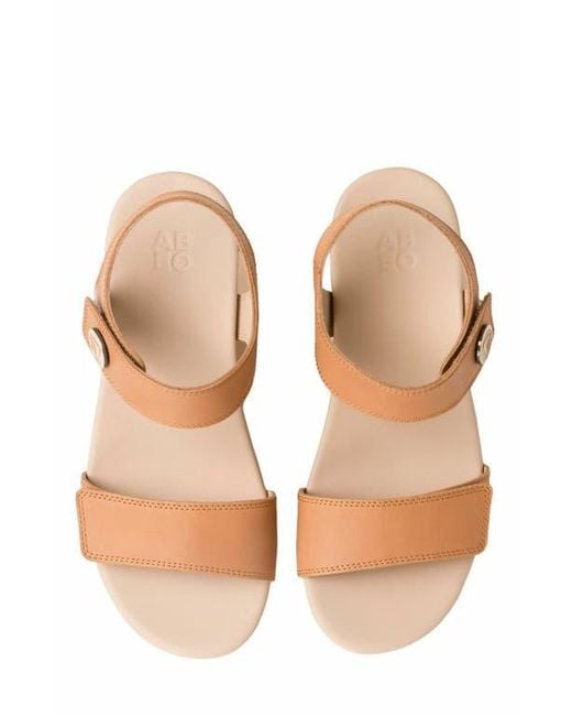 ABEO Brown Riviera Strap Sandal