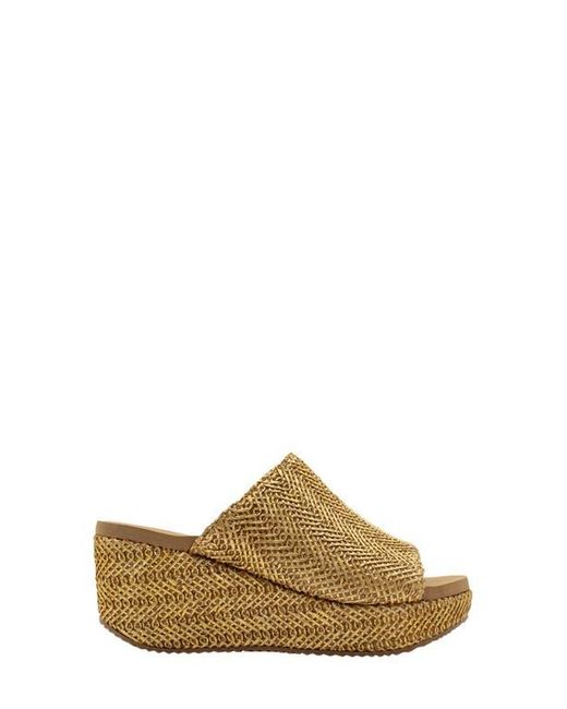 Volatile Raffia Volatile Canteen Water Resistant Raffia Wedge Platform Sandal in ...