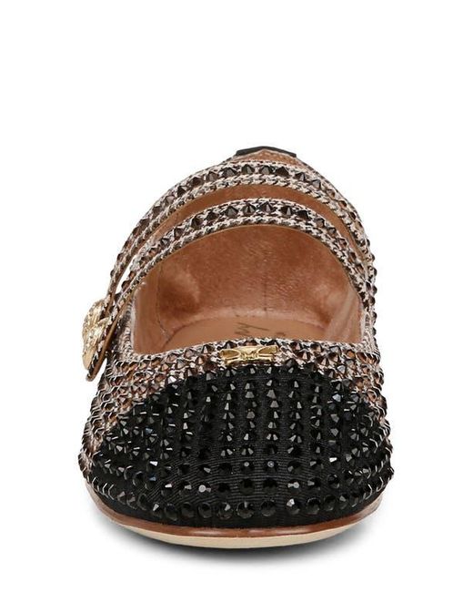 Circus by Sam Edelman Brown Zoey Cap Toe Mary Jane Flat