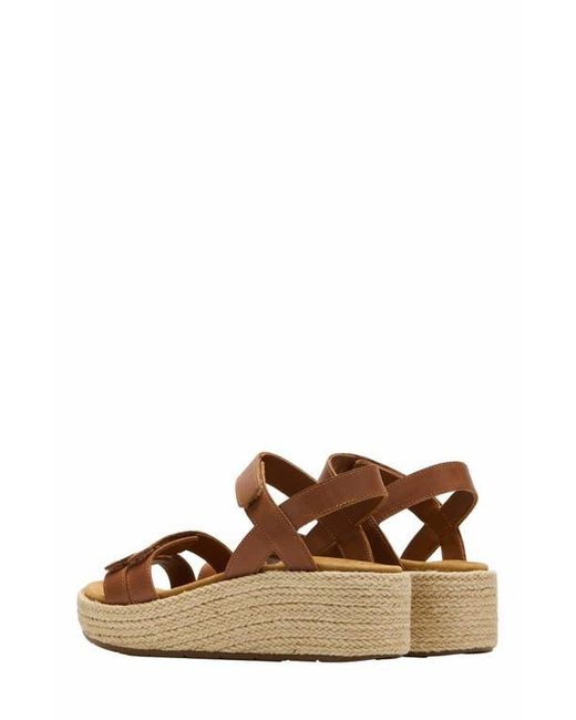 ABEO Brown Solstice Strap