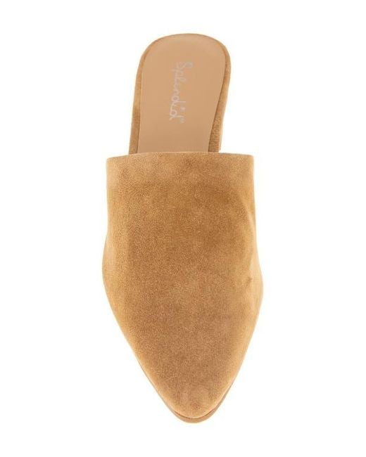 Splendid Brown Lyn Suede Mule Heel