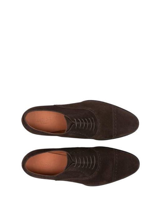 Anthony Veer Brown Windsor Brogue for men