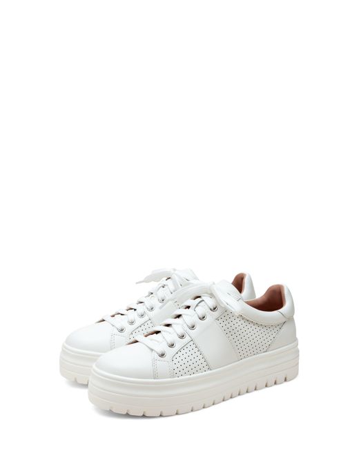 linea paolo platform sneaker