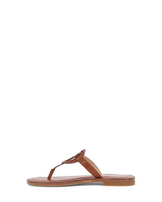 Frye Brown Taylor Logo Sandal