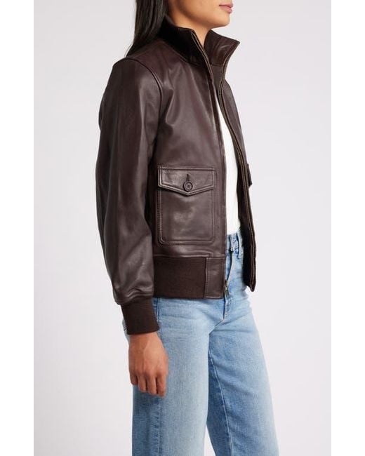 Schott Nyc Brown Leather Flight Jacket