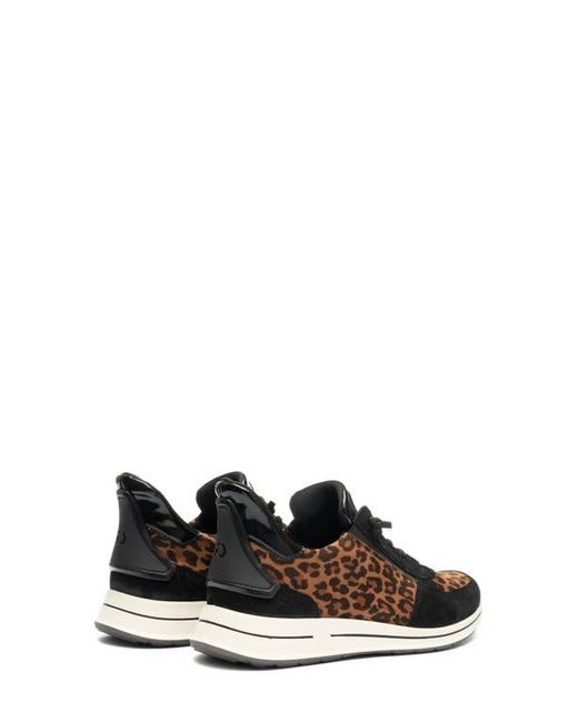 Ara Black Ovation Sneaker