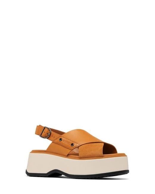 Sorel Brown Dayspring Crisscross Sandal