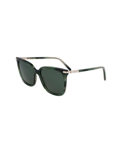 Ferragamo Green Prisma 56Mm Modified Butterfly Sunglasses