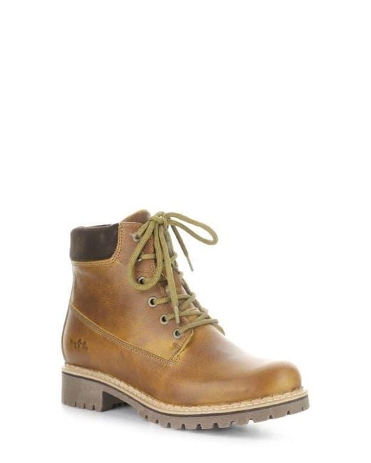 Bos. & Co. Brown Hartt Waterproof Boot