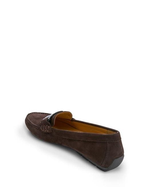 Vaneli Brown Aiker Driving Loafer