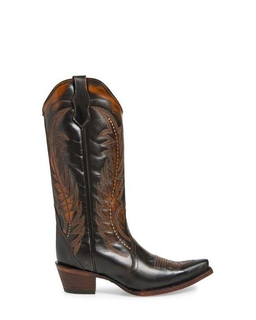 Circle Brown Contrast Embroidery Tall Western Boot