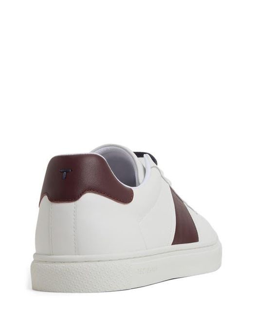 Ted Baker White Bradley Sneaker for men