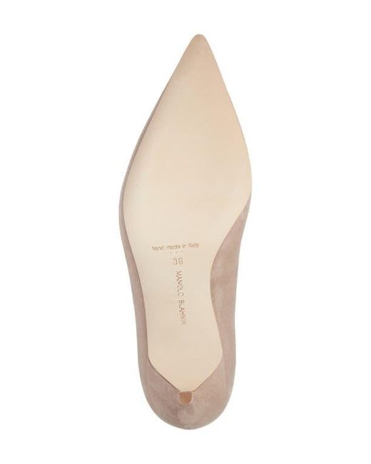 Manolo Blahnik Natural Bb Pointed Toe Pump