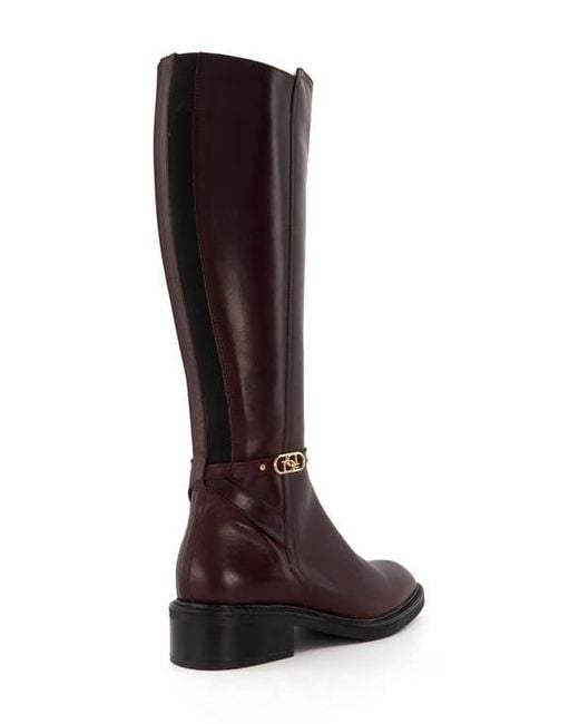 Dune Brown Tia Knee High Boot