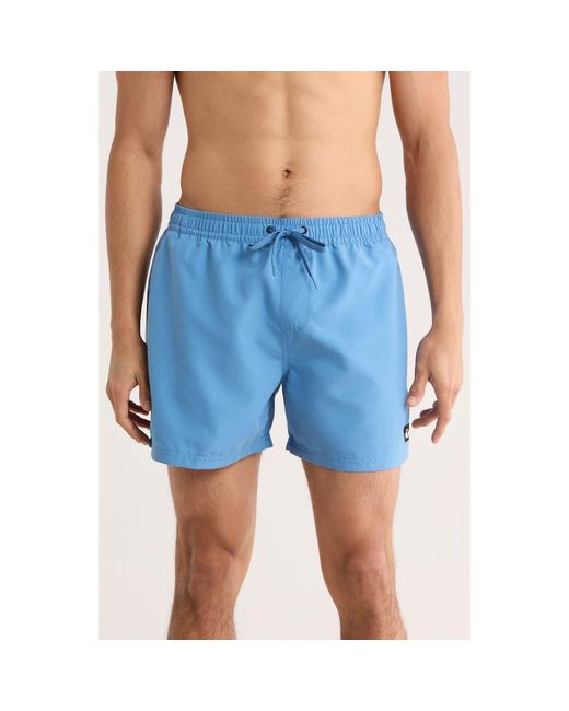 Quiksilver Blue Everyday Volley 15-Inch Swim Trunks for men