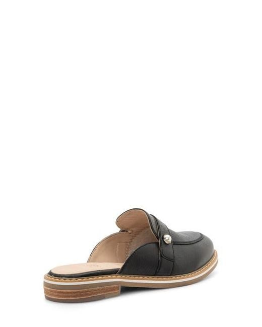 Ara Black Kona Mule