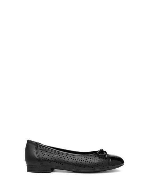 Ara Black Sangria Cap Toe Flat