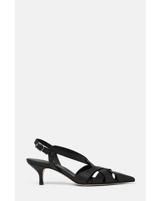 Scarosso Black Clio Pumps