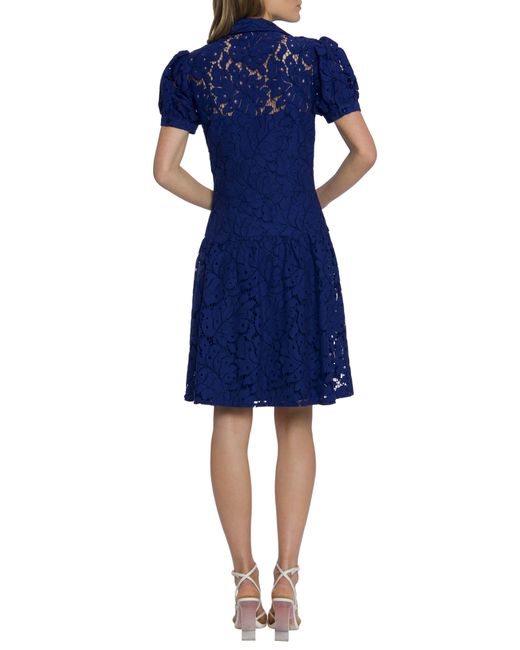 Maggy London Blue Cotton Blend Lace Fit & Flare Shirtdress