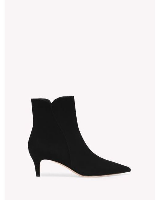 Gianvito Rossi Black Levy 55 Booties