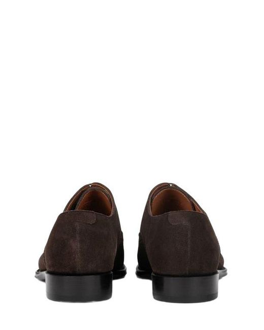 Anthony Veer Brown Windsor Brogue for men