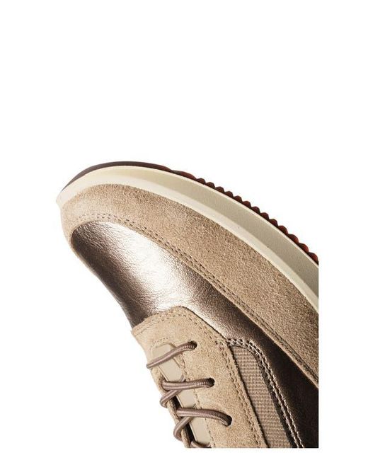 Ara Multicolor Lysa Low Top Sneaker
