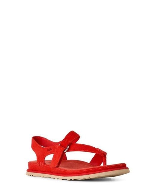 Ugg Red Goldengaze Toe Post Suede Sandal