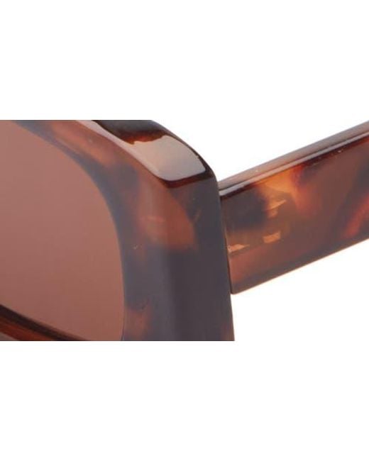 BP. Brown Square Sunglasses