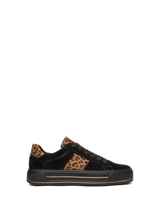 Ara Black Conifer Sneaker