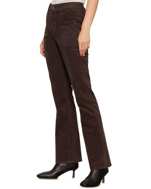 Sanctuary Brown Hayden Bootcut Corduroy Pants