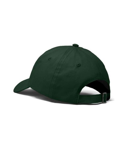 Alix Green Capybara Donut Embroidered Cap for men