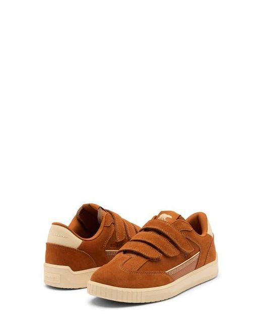 Sorel Brown Ona Drift Strap Sneaker