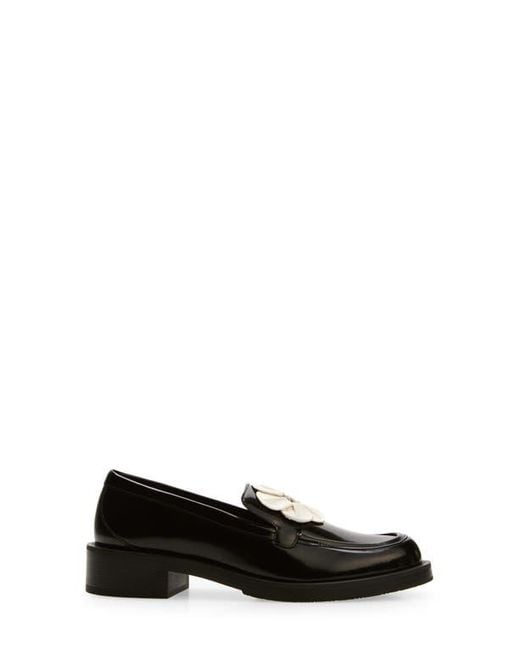 Stuart Weitzman Black X Sandy Liang Loafer