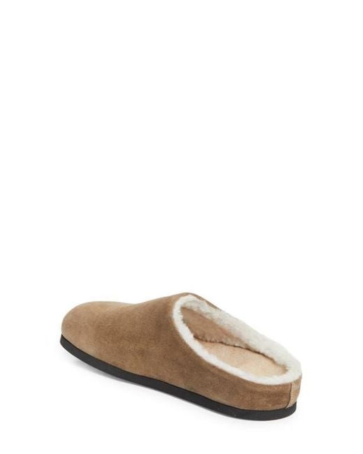 Common Projects Brown Suede & Genuine Shearling Clog