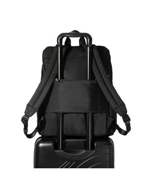 Baggallini Black Lexington Backpack