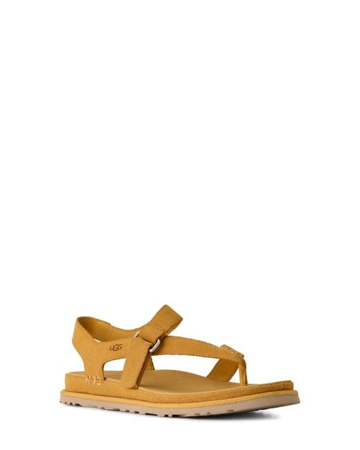 Ugg Multicolor Goldengaze Toe Post Suede Sandal