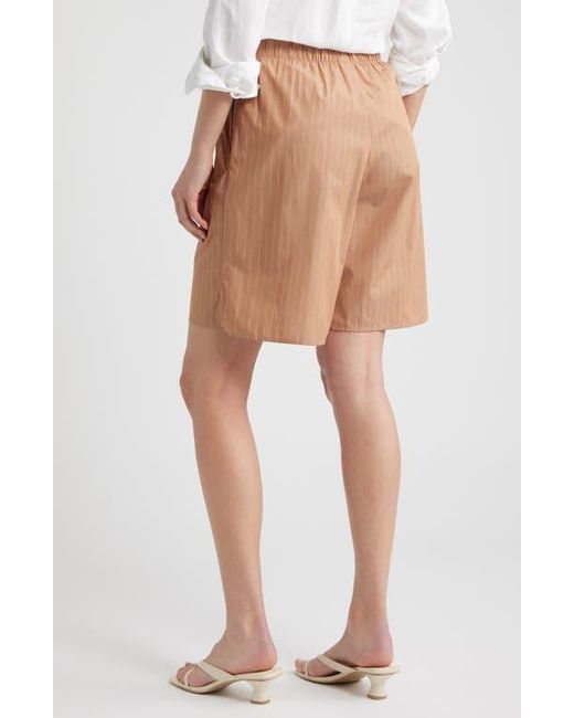 CISSA Brown Knee Length Shorts