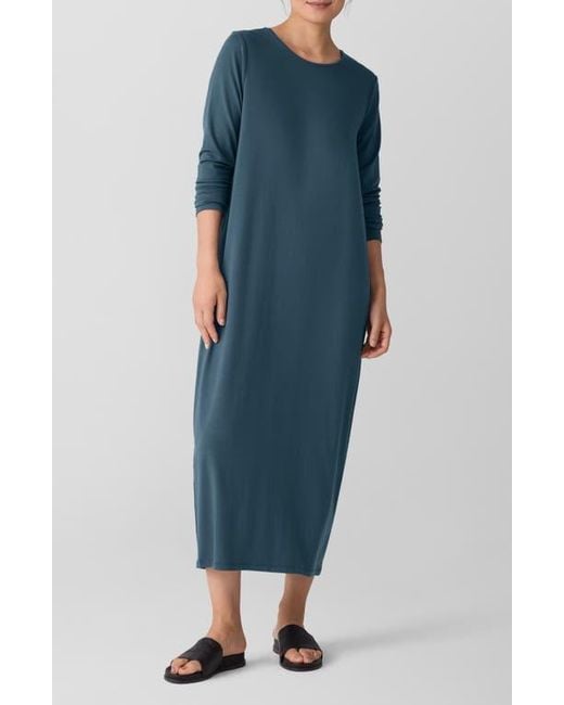 Eileen Fisher Blue Long Sleeve Maxi Dress