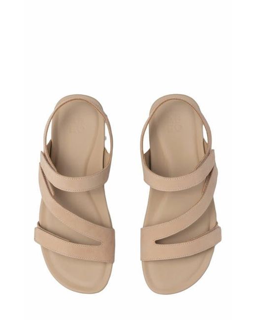 ABEO Brown Oasis Sandal
