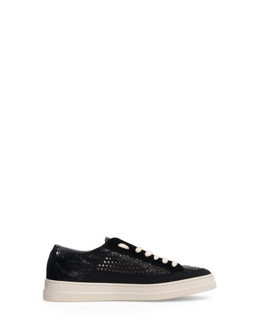 Candice Cooper Black Tim Perforated Leather Lace-Up Sneaker