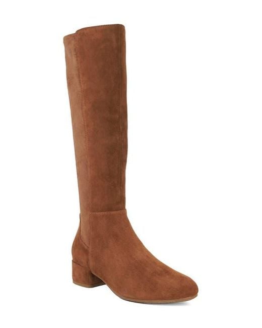 Dune Brown Tayla Knee High Boot