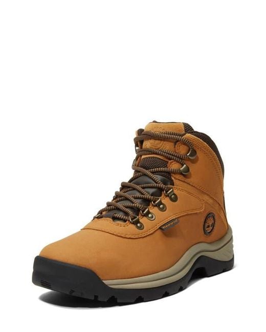 Timberland Natural Ledge Waterproof Hiking Boot for men