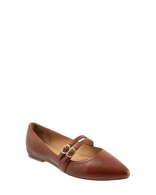 Trotters Brown Emerald Pointed Toe Mary Jane Flat