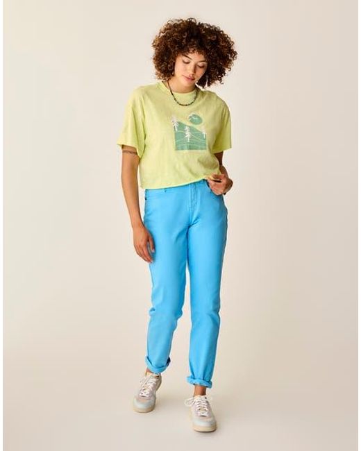 Carve Designs Blue Carson Jean