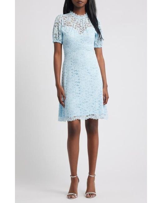 blue lipsy lace dress Buy Lipsy Navy Blue Lace Mini Dress Online
