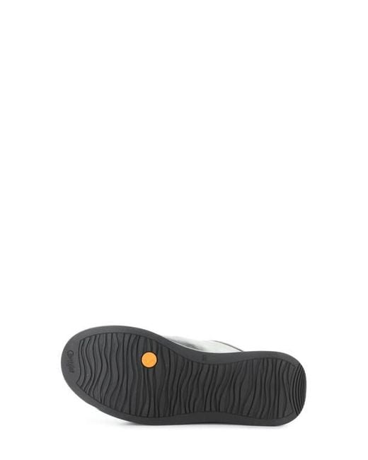 Softinos Gray Apor Sneaker