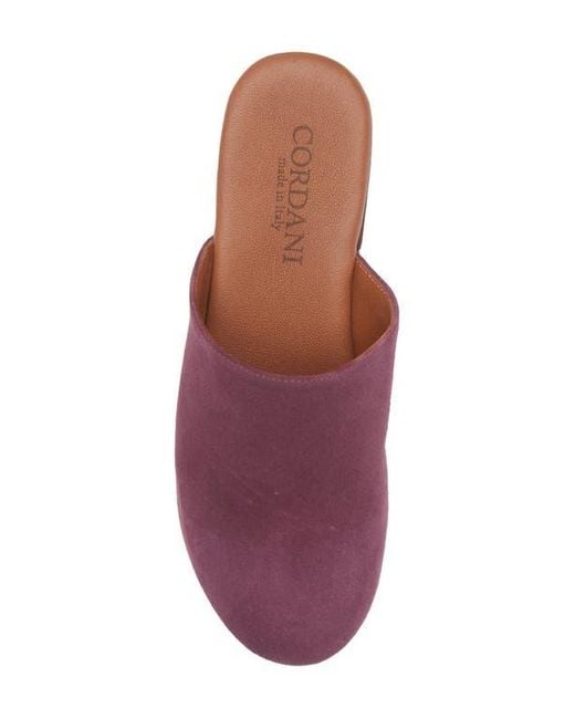 Cordani Purple Wanda Clog